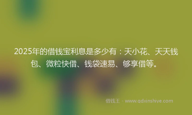 2025年的借钱宝利息是多少有：天小花、天天钱包、微粒快借、钱袋速易、够享借等。