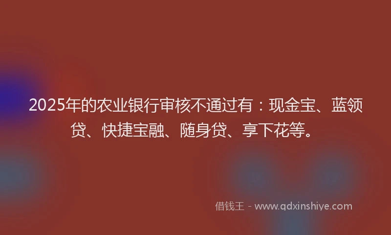 2025年的农业银行审核不通过有：现金宝、蓝领贷、快捷宝融、随身贷、享下花等。