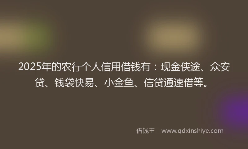 2025年的农行个人信用借钱有：现金侠途、众安贷、钱袋快易、小金鱼、信贷通速借等。