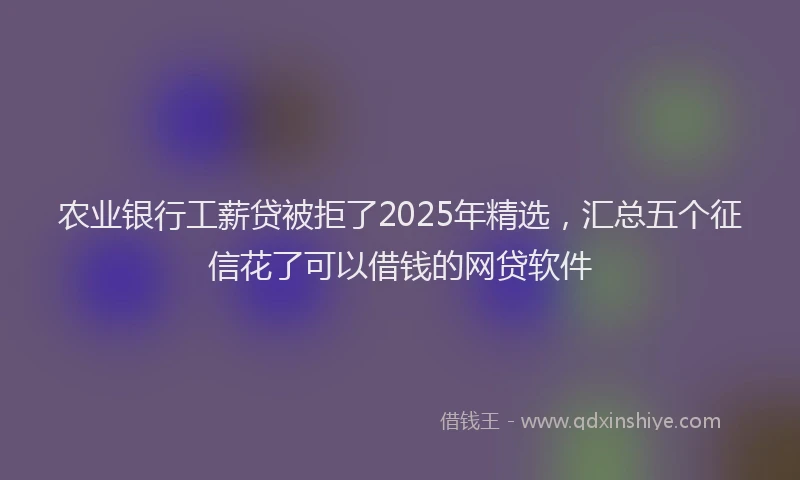 农业银行工薪贷被拒了2025年精选，汇总五个征信花了可以借钱的网贷软件