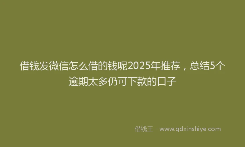 借钱发微信怎么借的钱呢2025年推荐，总结5个逾期太多仍可下款的口子