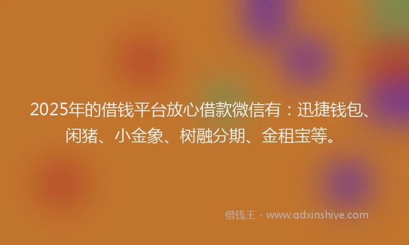 2025年的借钱平台放心借款微信有：迅捷钱包、闲猪、小金象、树融分期、金租宝等。
