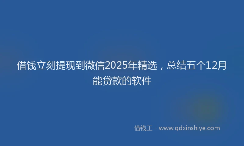 借钱立刻提现到微信2025年精选，总结五个12月能贷款的软件