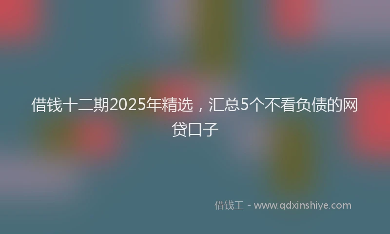 借钱十二期2025年精选，汇总5个不看负债的网贷口子