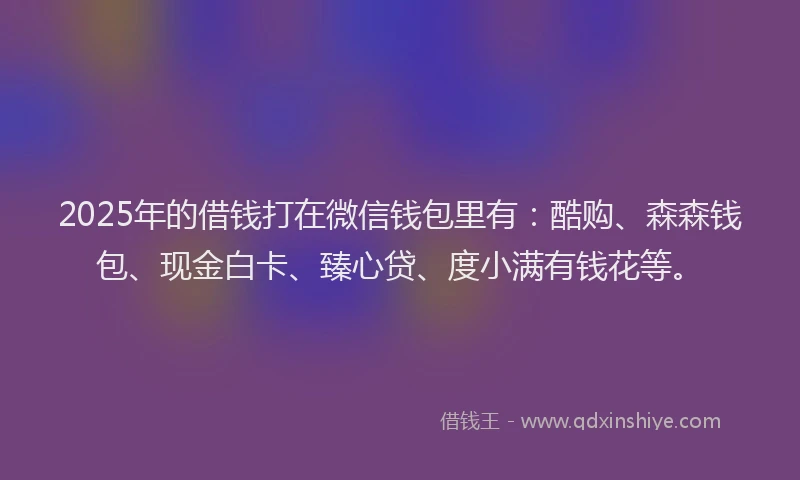 2025年的借钱打在微信钱包里有：酷购、森森钱包、现金白卡、臻心贷、度小满有钱花等。