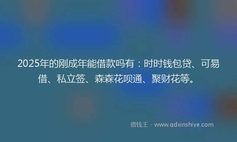 2025年的刚成年能借款吗有：时时钱包贷、可易借、私立签、森森花呗通、聚财花等。