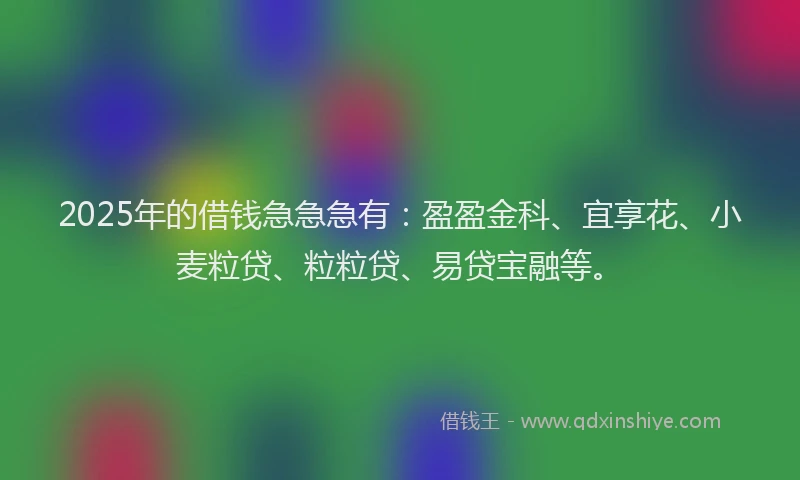 2025年的借钱急急急有：盈盈金科、宜享花、小麦粒贷、粒粒贷、易贷宝融等。