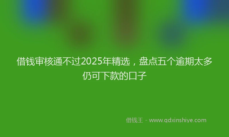 借钱审核通不过2025年精选，盘点五个逾期太多仍可下款的口子