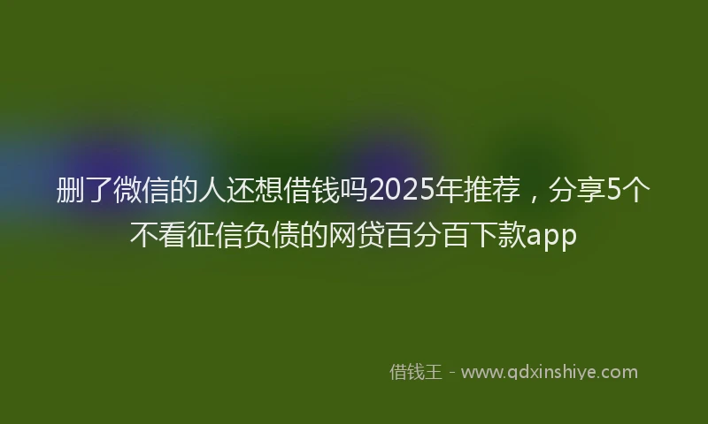 删了微信的人还想借钱吗2025年推荐，分享5个不看征信负债的网贷百分百下款app