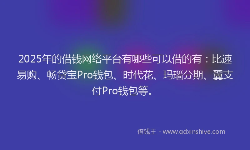 2025年的借钱网络平台有哪些可以借的有：比速易购、畅贷宝Pro钱包、时代花、玛瑙分期、翼支付Pro钱包等。