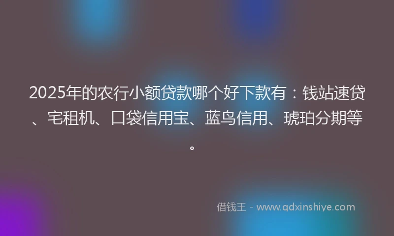 2025年的农行小额贷款哪个好下款有：钱站速贷、宅租机、口袋信用宝、蓝鸟信用、琥珀分期等。