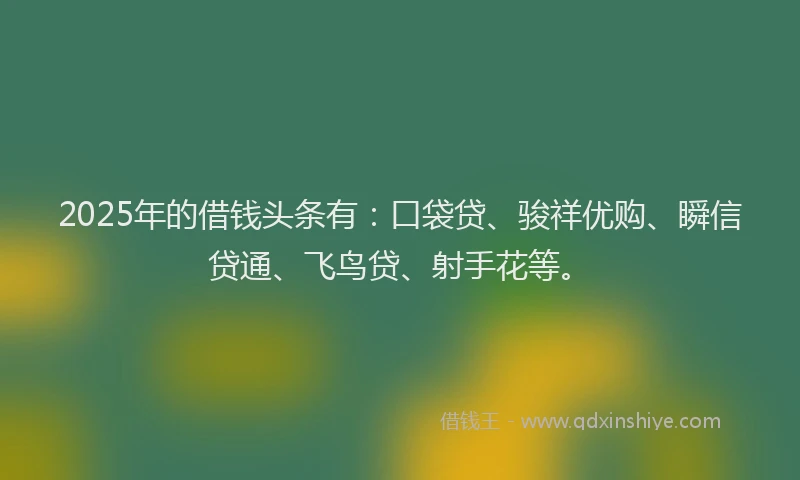 2025年的借钱头条有：口袋贷、骏祥优购、瞬信贷通、飞鸟贷、射手花等。