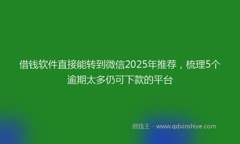 借钱软件直接能转到微信2025年推荐，梳理5个逾期太多仍可下款的平台