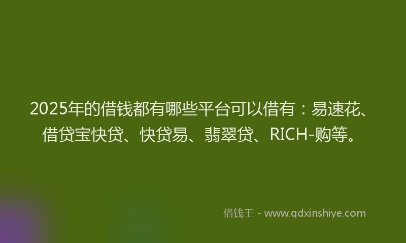 2025年的借钱都有哪些平台可以借有：易速花、借贷宝快贷、快贷易、翡翠贷、RICH-购等。