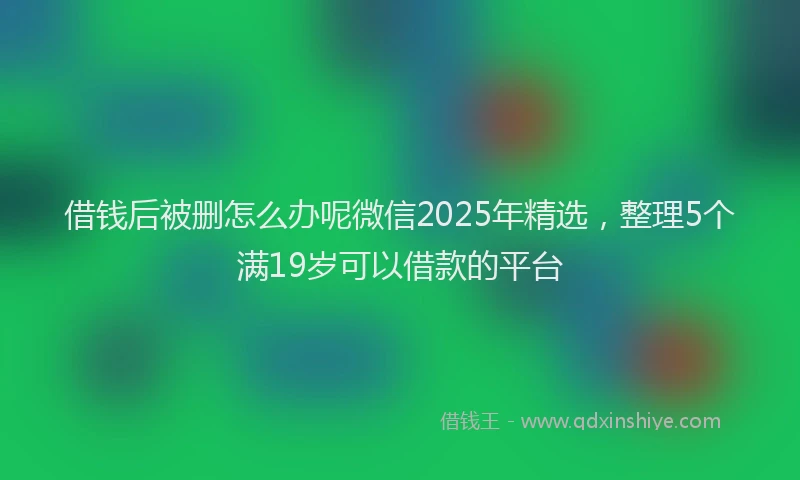 借钱后被删怎么办呢微信2025年精选，整理5个满19岁可以借款的平台