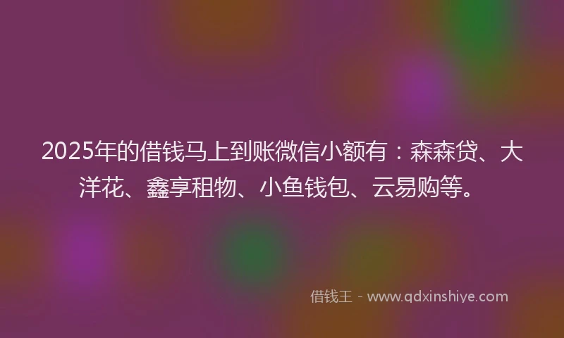 2025年的借钱马上到账微信小额有：森森贷、大洋花、鑫享租物、小鱼钱包、云易购等。
