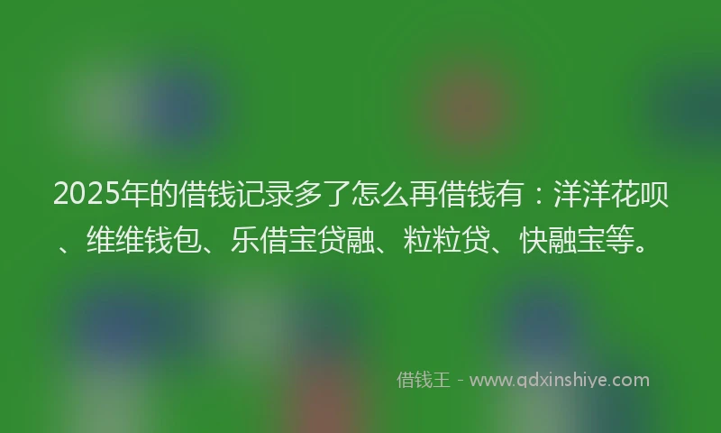 2025年的借钱记录多了怎么再借钱有：洋洋花呗、维维钱包、乐借宝贷融、粒粒贷、快融宝等。