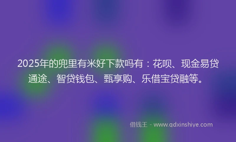 2025年的兜里有米好下款吗有：花呗、现金易贷通途、智贷钱包、甄享购、乐借宝贷融等。