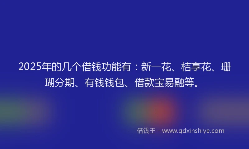 2025年的几个借钱功能有：新一花、桔享花、珊瑚分期、有钱钱包、借款宝易融等。