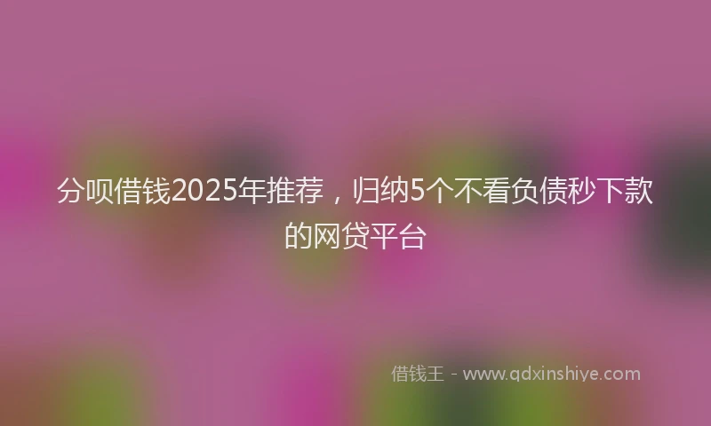 分呗借钱2025年推荐，归纳5个不看负债秒下款的网贷平台