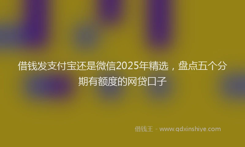 借钱发支付宝还是微信2025年精选，盘点五个分期有额度的网贷口子