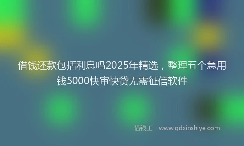 借钱还款包括利息吗2025年精选，整理五个急用钱5000快审快贷无需征信软件