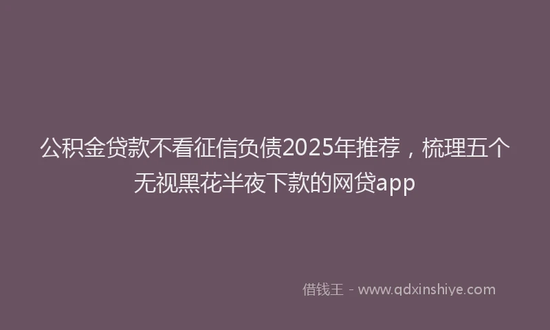 公积金贷款不看征信负债2025年推荐，梳理五个无视黑花半夜下款的网贷app