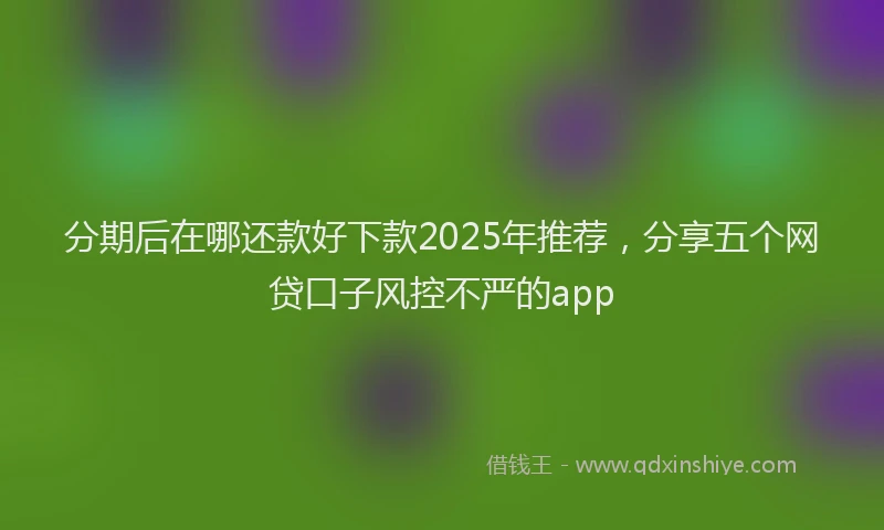 分期后在哪还款好下款2025年推荐，分享五个网贷口子风控不严的app