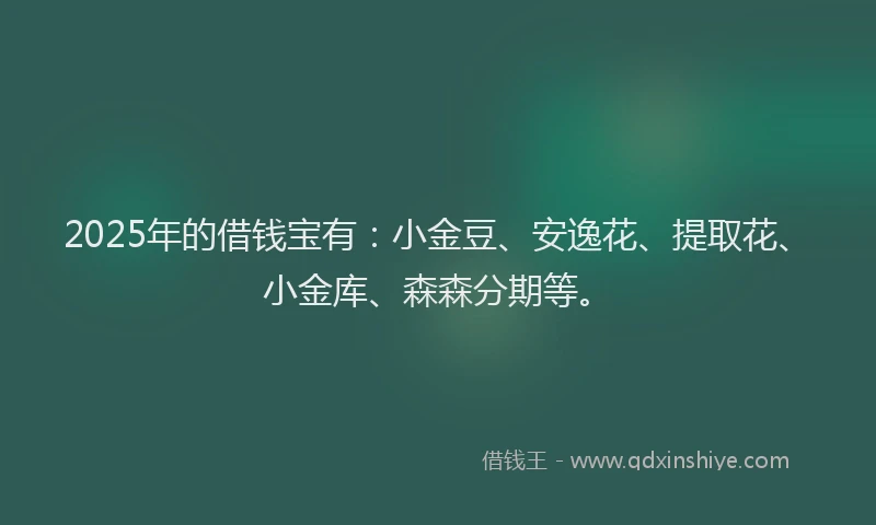 2025年的借钱宝有：小金豆、安逸花、提取花、小金库、森森分期等。
