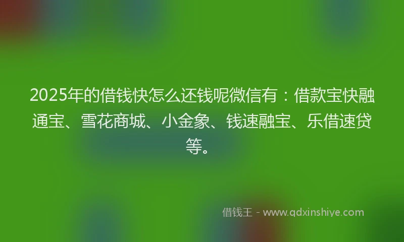 2025年的借钱快怎么还钱呢微信有：借款宝快融通宝、雪花商城、小金象、钱速融宝、乐借速贷等。
