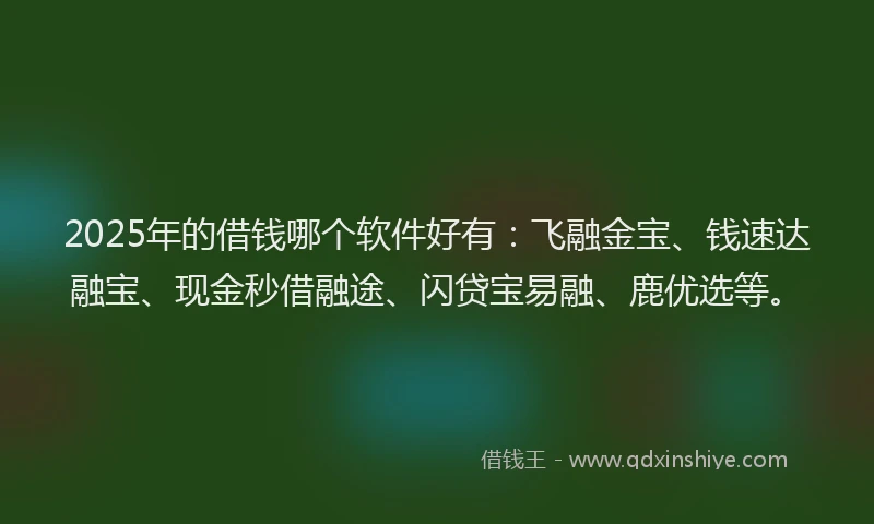 2025年的借钱哪个软件好有：飞融金宝、钱速达融宝、现金秒借融途、闪贷宝易融、鹿优选等。