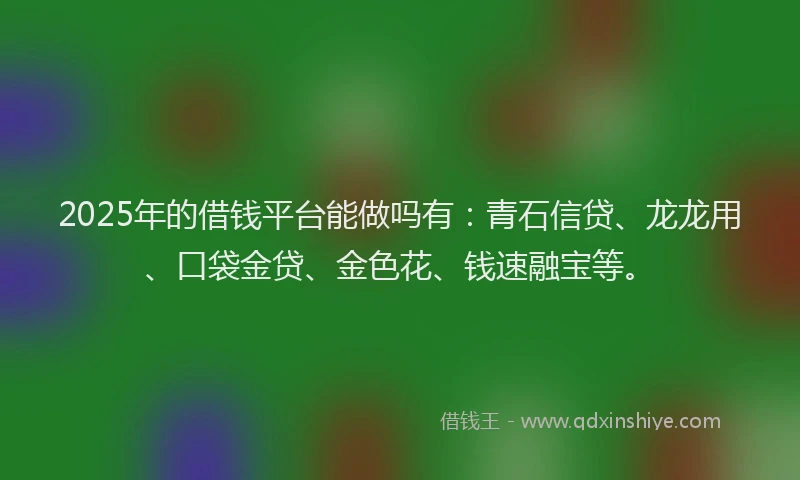 2025年的借钱平台能做吗有：青石信贷、龙龙用、口袋金贷、金色花、钱速融宝等。