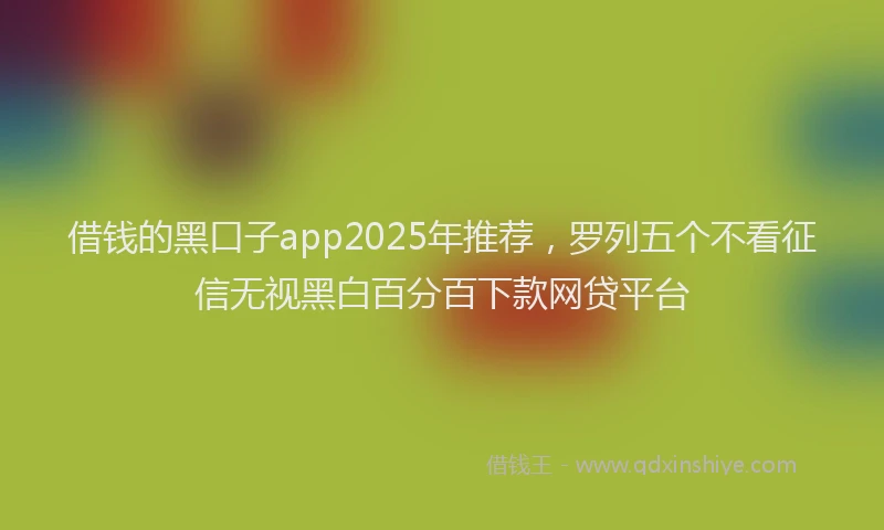借钱的黑口子app2025年推荐，罗列五个不看征信无视黑白百分百下款网贷平台