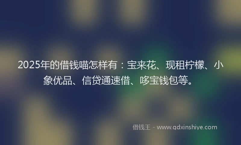 2025年的借钱喵怎样有：宝来花、现租柠檬、小象优品、信贷通速借、哆宝钱包等。