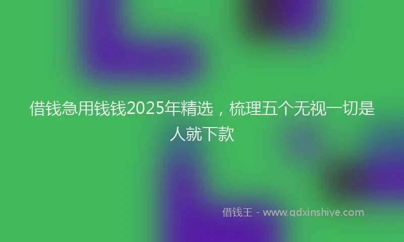 借钱急用钱钱2025年精选，梳理五个无视一切是人就下款