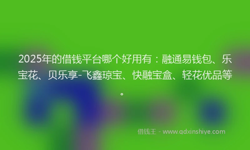 2025年的借钱平台哪个好用有：融通易钱包、乐宝花、贝乐享-飞鑫琼宝、快融宝盒、轻花优品等。