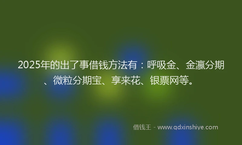 2025年的出了事借钱方法有：呼吸金、金瀛分期、微粒分期宝、享来花、银票网等。