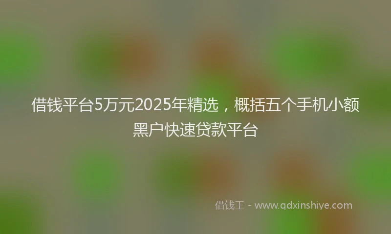 借钱平台5万元2025年精选，概括五个手机小额黑户快速贷款平台