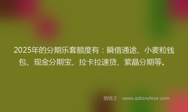 2025年的分期乐套额度有：瞬借通途、小麦粒钱包、现金分期宝、拉卡拉速贷、紫晶分期等。