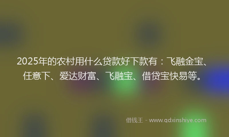 2025年的农村用什么贷款好下款有：飞融金宝、任意下、爱达财富、飞融宝、借贷宝快易等。