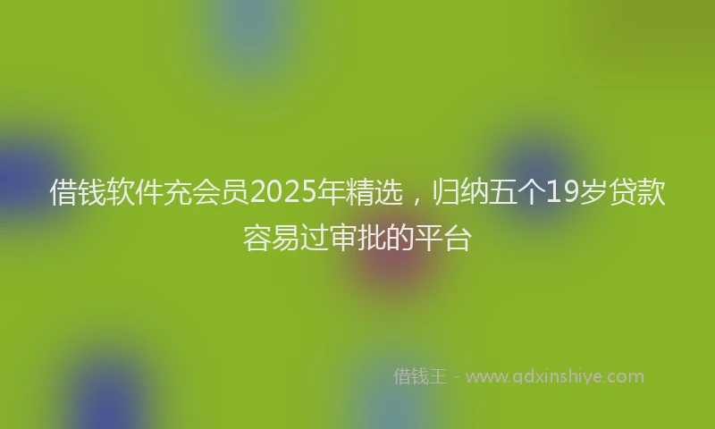 借钱软件充会员2025年精选，归纳五个19岁贷款容易过审批的平台