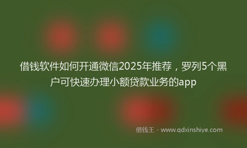 借钱软件如何开通微信2025年推荐，罗列5个黑户可快速办理小额贷款业务的app