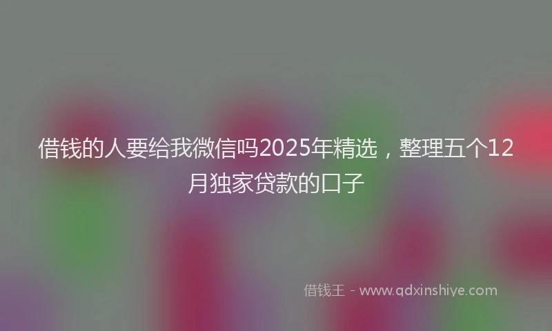借钱的人要给我微信吗2025年精选，整理五个12月独家贷款的口子