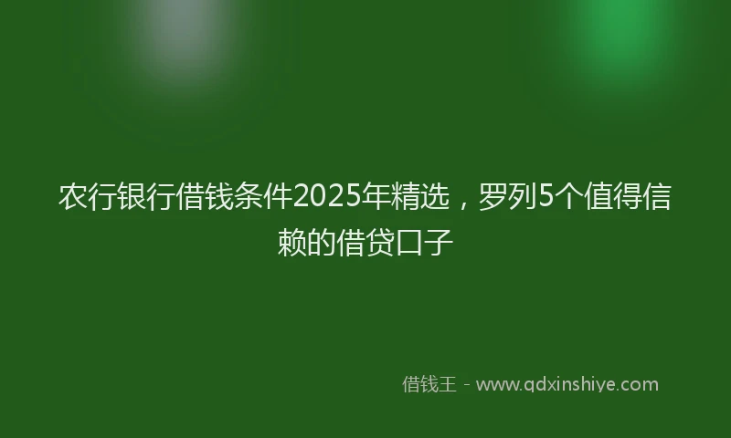 农行银行借钱条件2025年精选，罗列5个值得信赖的借贷口子
