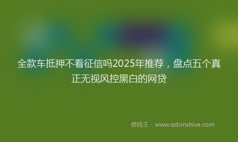 全款车抵押不看征信吗2025年推荐，盘点五个真正无视风控黑白的网贷