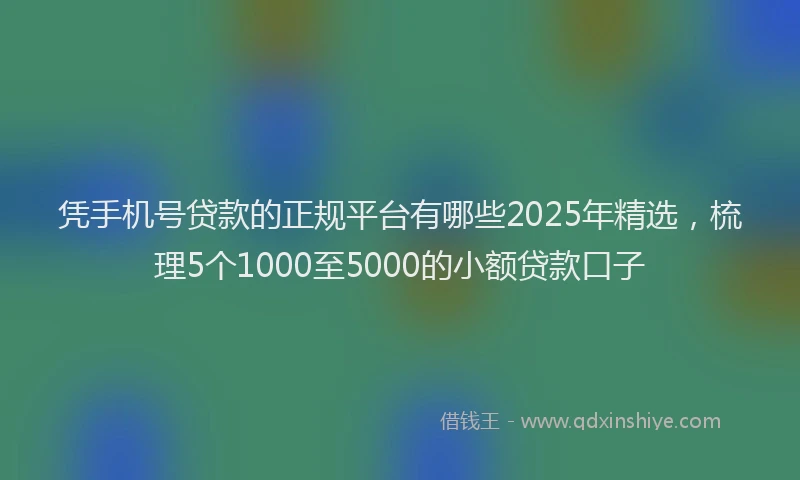 凭手机号贷款的正规平台有哪些2025年精选，梳理5个1000至5000的小额贷款口子