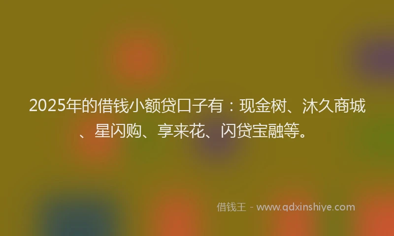 2025年的借钱小额贷口子有：现金树、沐久商城、星闪购、享来花、闪贷宝融等。