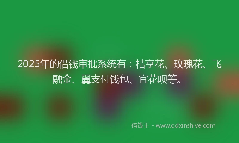 2025年的借钱审批系统有：桔享花、玫瑰花、飞融金、翼支付钱包、宜花呗等。