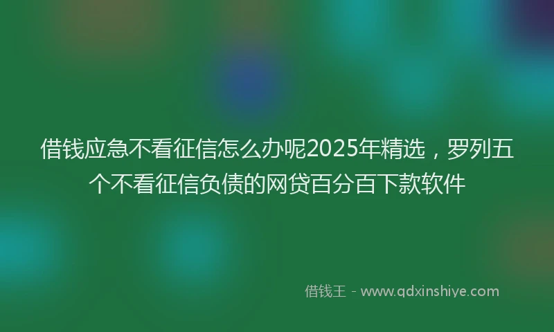借钱应急不看征信怎么办呢2025年精选，罗列五个不看征信负债的网贷百分百下款软件