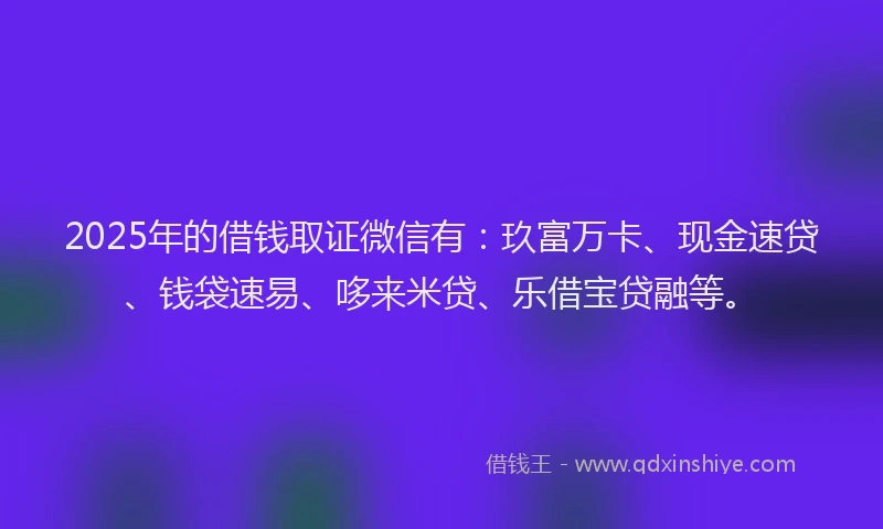 2025年的借钱取证微信有：玖富万卡、现金速贷、钱袋速易、哆来米贷、乐借宝贷融等。